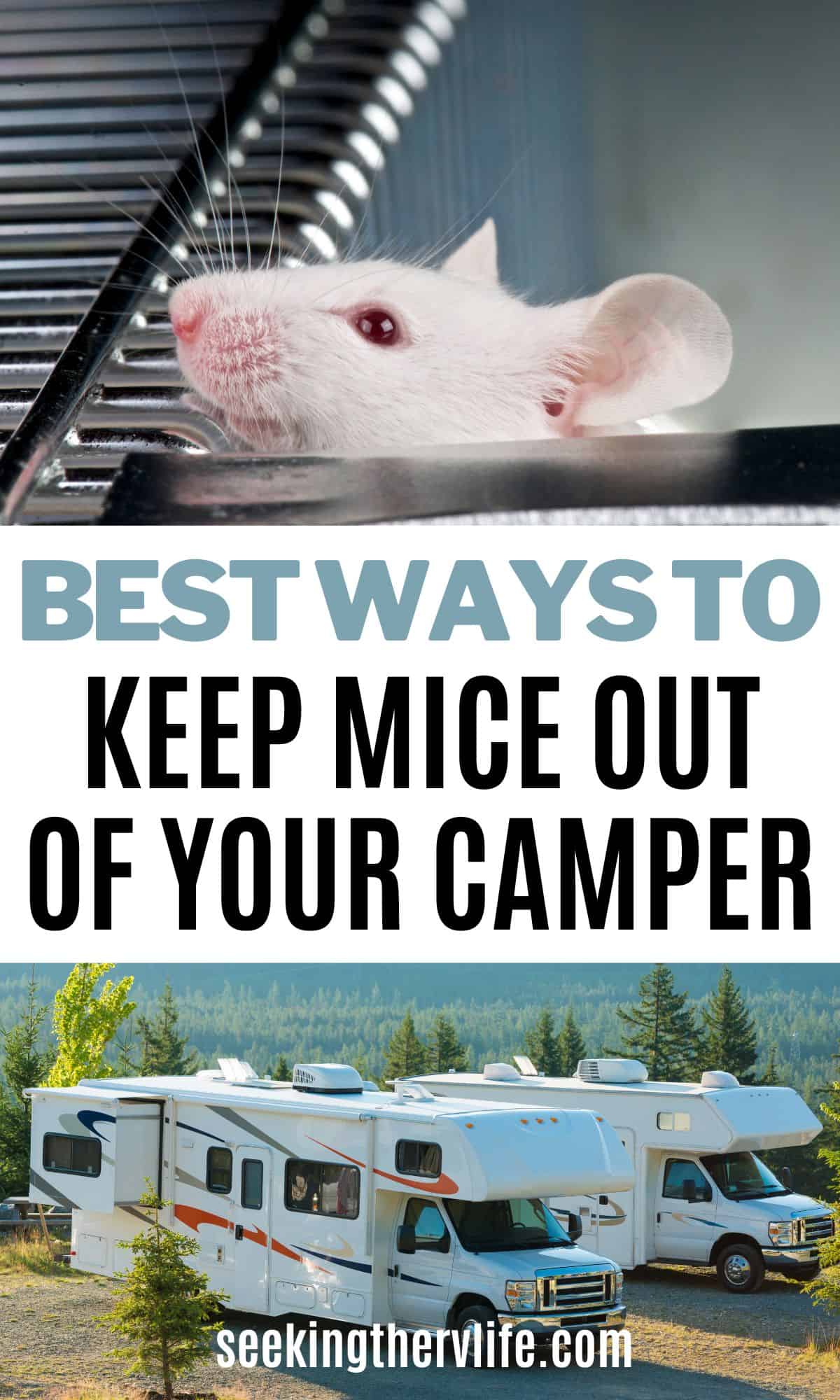 Do Dryer Sheets Keep Mice Away? DIY Rodent Deterrents